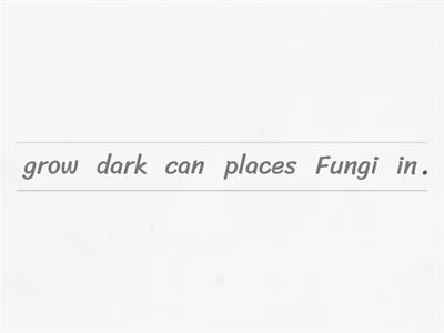 ESL 2 - Decomposers - Fungi