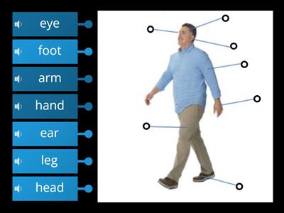 Label the body parts