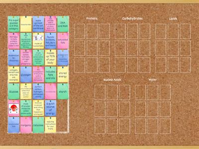 Biomolecules