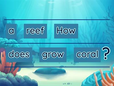 Unscramble The Great Barrier Reef Questions
