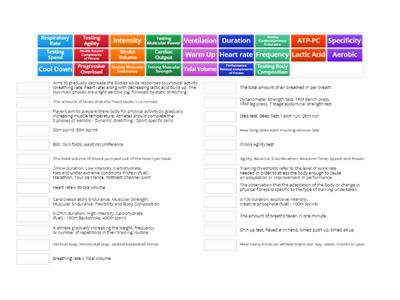 Year 11 Exercise Physiology 