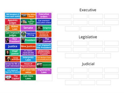 Separation of Powers (U.S. Branches of Government) 