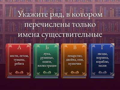 Имя существительное