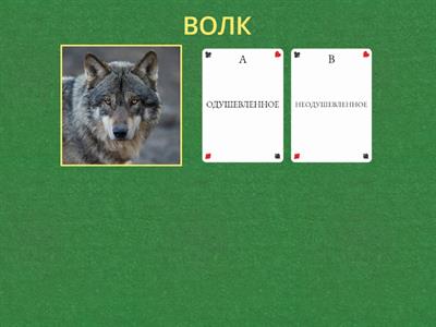 Имя существительное интенсив, урок 1 (категории : одуш. / неодуш.)