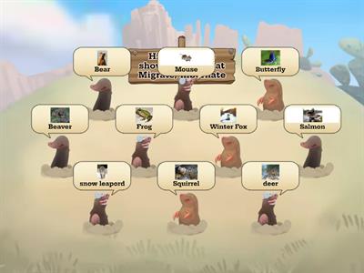 Migrate/ Hibernating animals