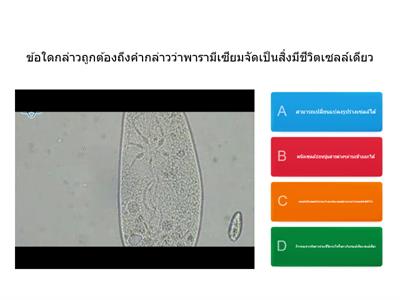 ฺBIOLOGY RPG 36