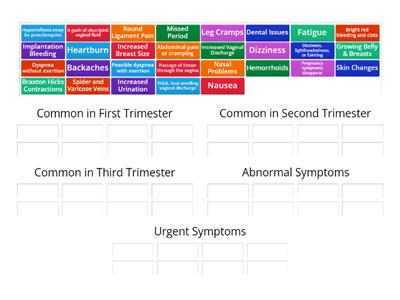 Pregnancy Symptoms