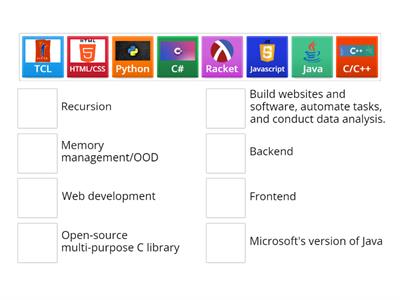 Programming languages (custom)