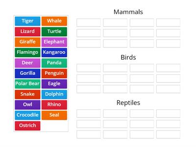  7th Grade Unit 4  Wild Animals Tuana KOCAMAN Ayten Çağıran Secondary School/egg