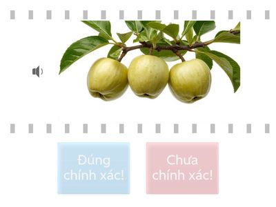 Hình nào dưới đây Cô đọc đúng số lượng tương ứng là 3?