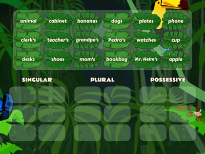 Noun Sort - Singular, Plural, + Possessive