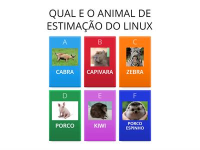 TESTE DO LINUX