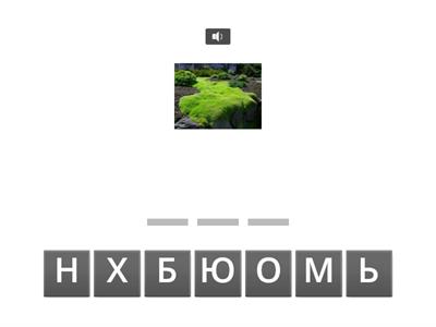 СОСТАВЬ СЛОВО НА СЛУХ