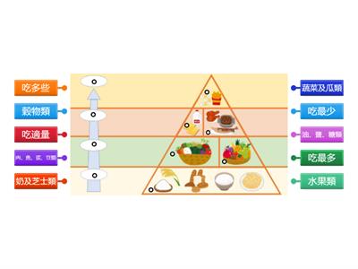 食物金字塔