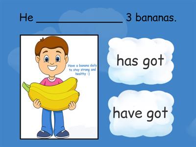Have got/has got