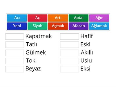 ZIT ANLAMLI KEMİMELER 3.SINIF (EŞLEŞTİRME)