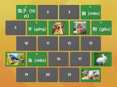 Animals- words and pictures matching