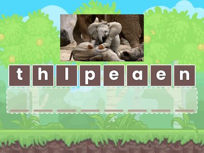 SUPER MINDS 1 U3 PETS 