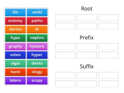 Prefix, Root and Suffix Sorting
