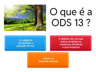 ODS 13 / Vida terrestre