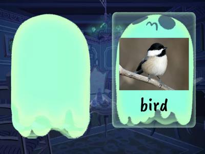 Oxford Phonics Aa Bb Cc Dd