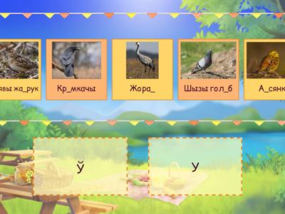 2. Птушкі. Правапіс у/ў.