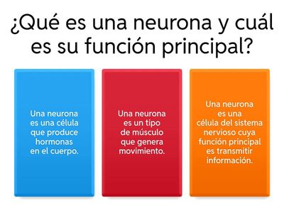 2 Neurociencia Neuro Oratoria