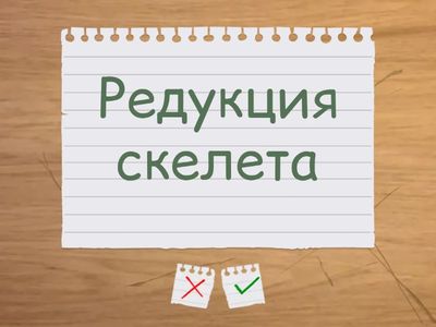 Адаптация водной среды