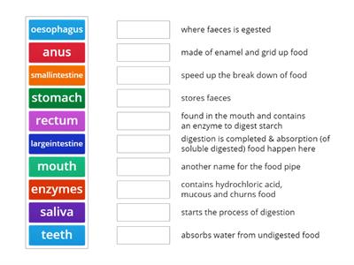 SP JC Digestive system Match up1 