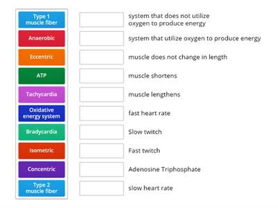 Introduction to Ex. Physiology