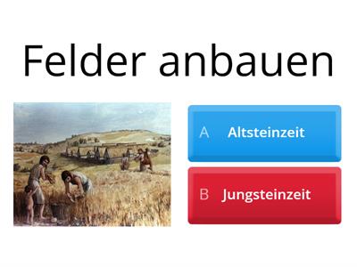 Altsteinzeit oder Jungsteinzeit - Quiz