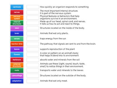 Vocabulary Structures and Functions 