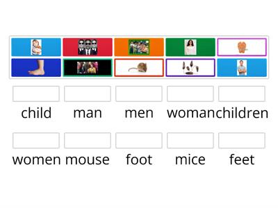 Irregular Plural Nouns 2.5