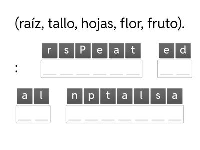 IMPORTANCIA DE LAS PLANTAS PARA LA VIDA