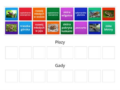 porównaj płazy i gady