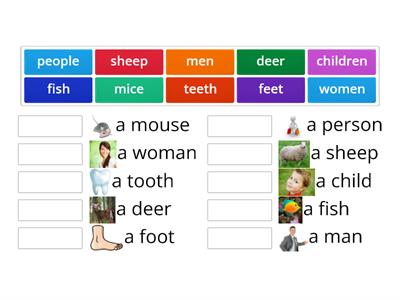 EO1 Irregular Plurals 