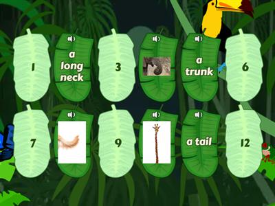 U2_ANIMALS PHYSICAL CHARACTERISTICS