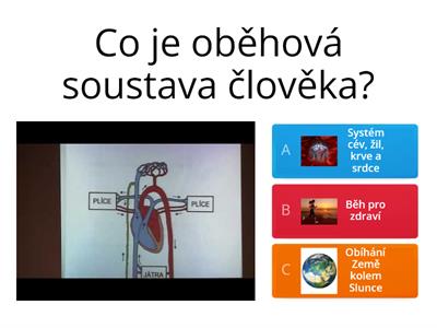 Oběhová soustava 5. ročník