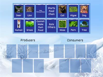 Producers vs. Consumers GR2 - CAS