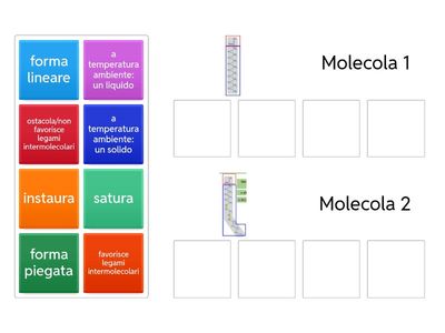 Molecole ANFIPATICHE