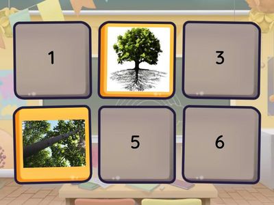 групи растения