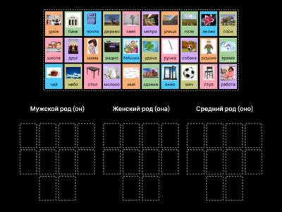 Род существительных
