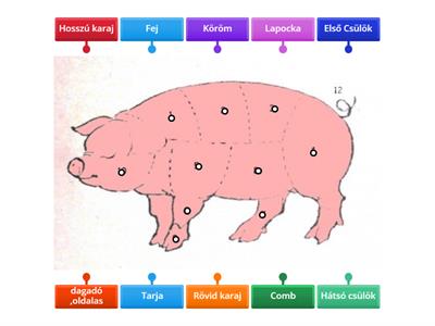 Ételkészítés Sertéshús részei