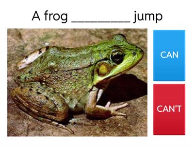 CAN AND CANT- natural world -  animals