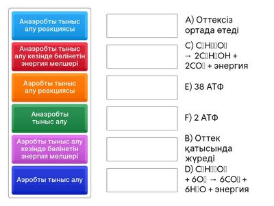 Анаэробты және аэробты тыныс алу сәйкестендіру