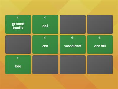 Invertebrates spelling and habitat