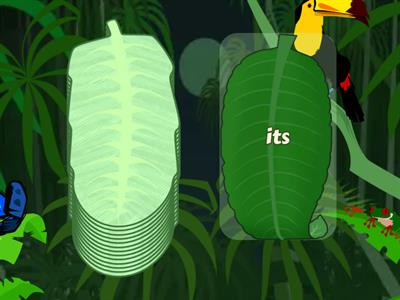 New words (March 4th-7th) - Grade 3.