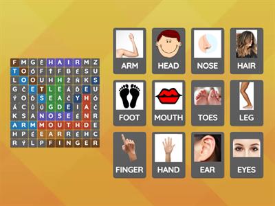 BODY PARTS