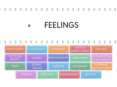 FEELINGS, UNIT 3, PEARSON KLASA 5 