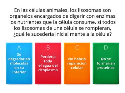 PREGUNTAS DE SELECCION MULTIPLES CUN UNICA RESPUESTA 